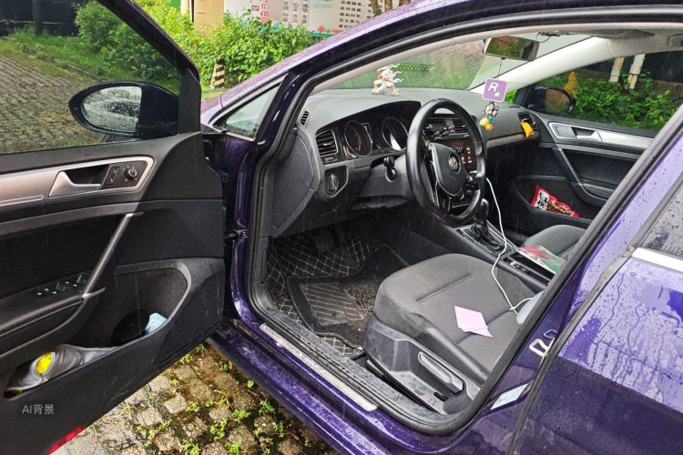 Volkswagen Golf 2020 car image #18