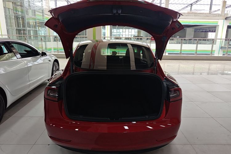 Tesla Model 3 2022 car image #19