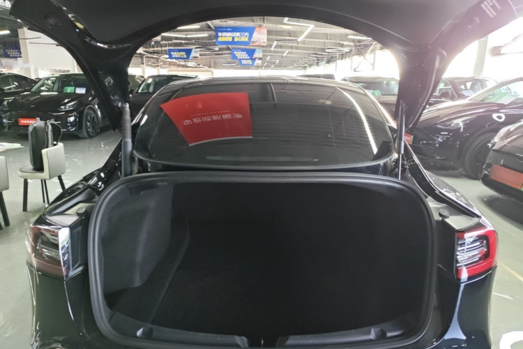 Tesla Model 3 2021 #19 Tesla Model 3 2021 immagine di auto #19