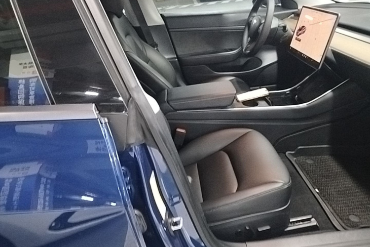 Tesla Model 3 2020 imagen de coche #24