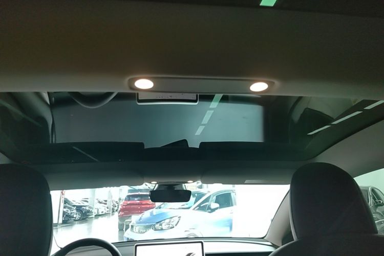 Tesla Model 3 2021 #20 Tesla Model 3 2021 immagine di auto #20