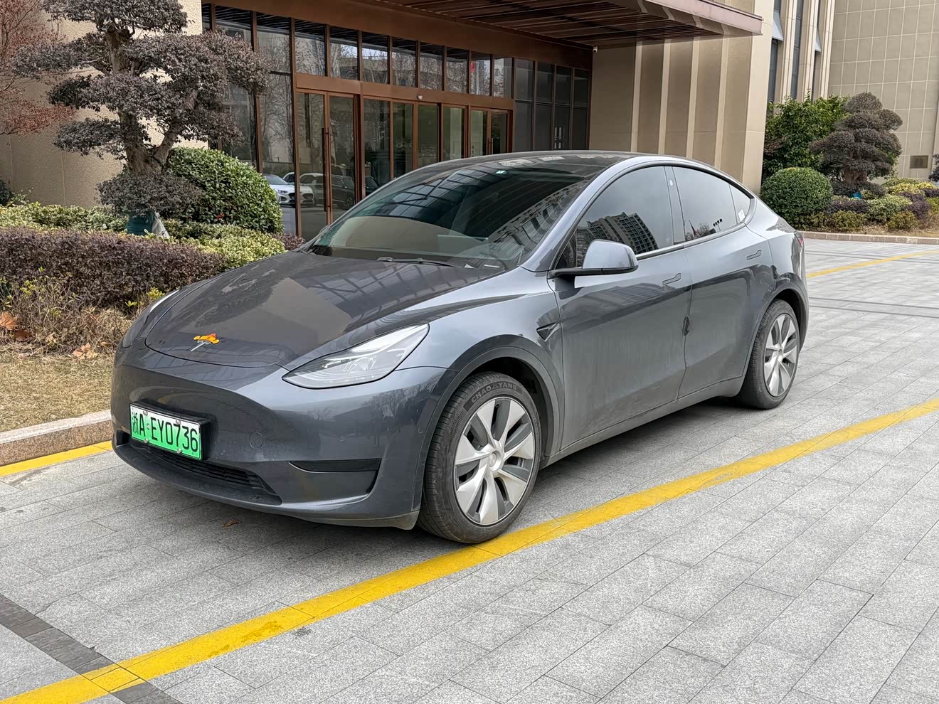 Tesla Model Y 2022 Tesla Model Y 2022 car image