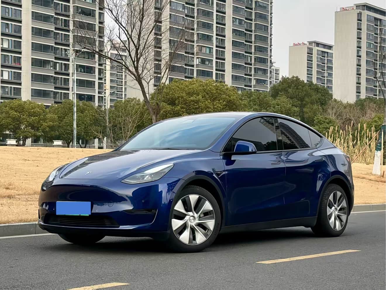 Tesla Model Y 2021 car image 