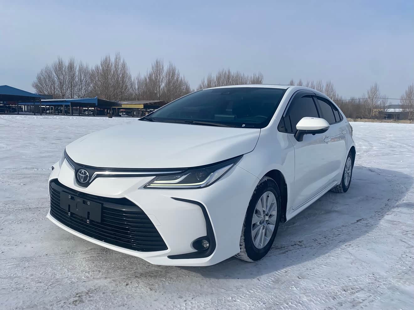 Toyota Corolla 2023 car image 