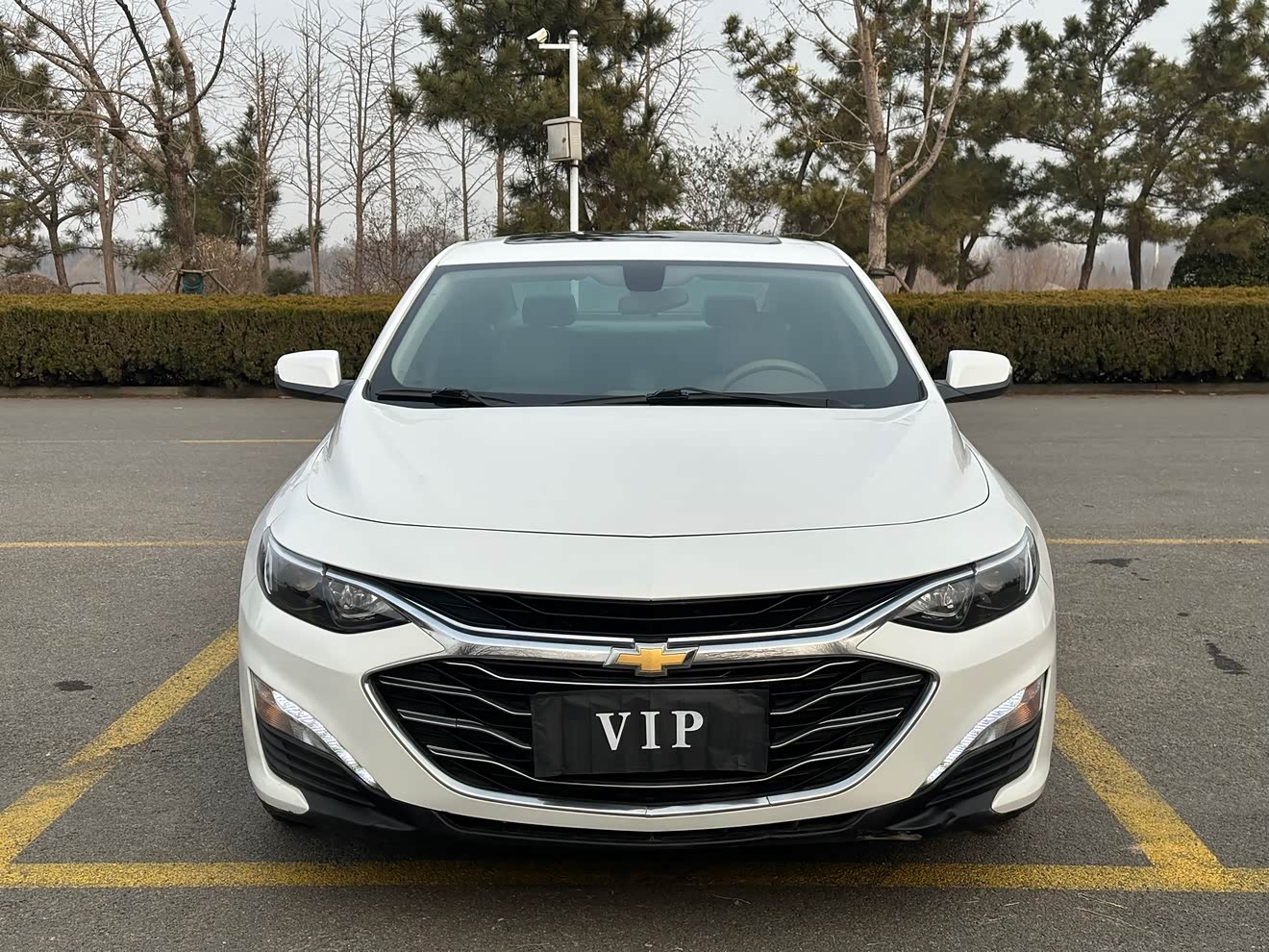 Chevrolet Malibu XL 2020 immagine di auto 