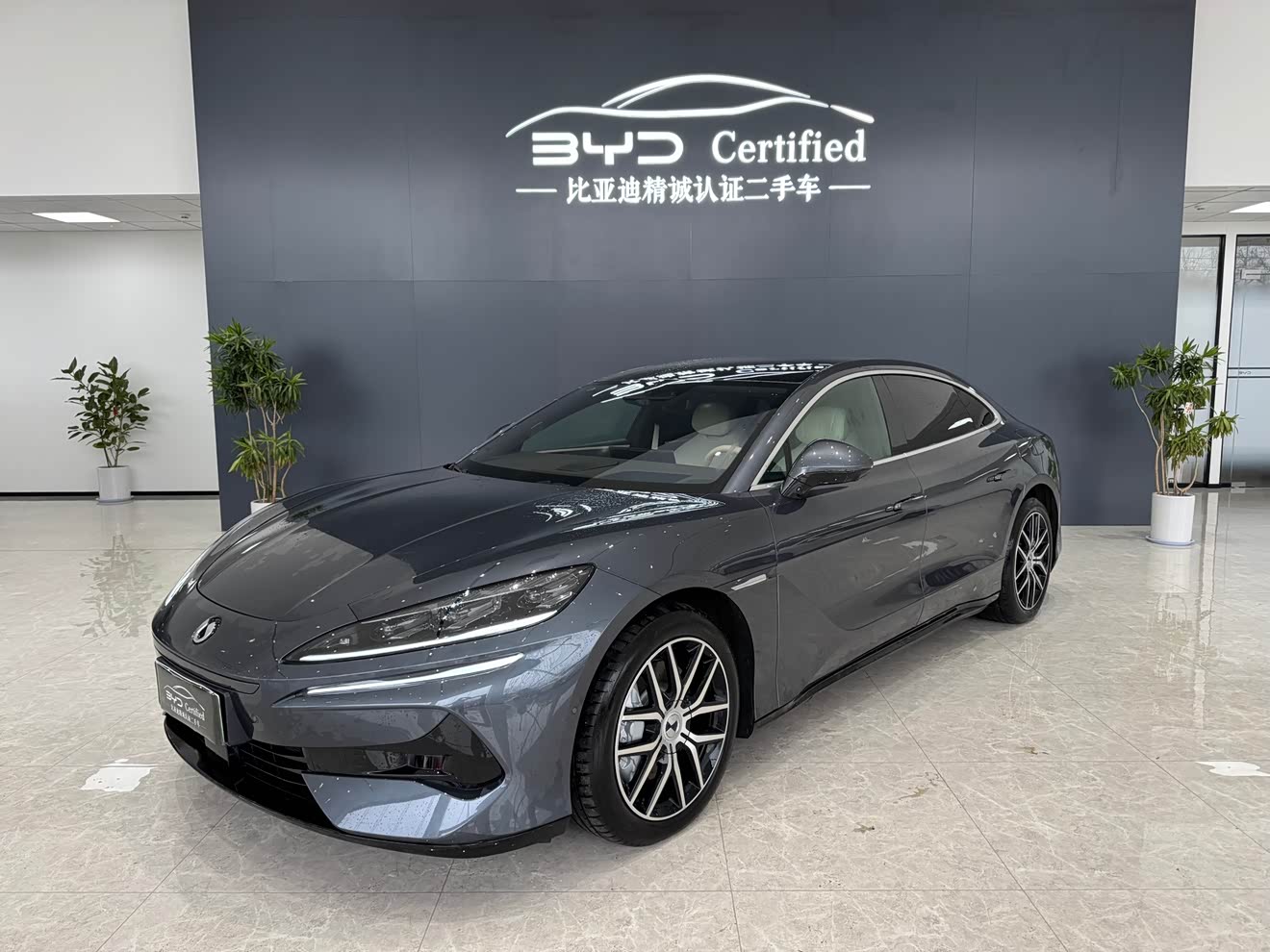 Denza Z9 2024 Denza Z9 2024 immagine di auto