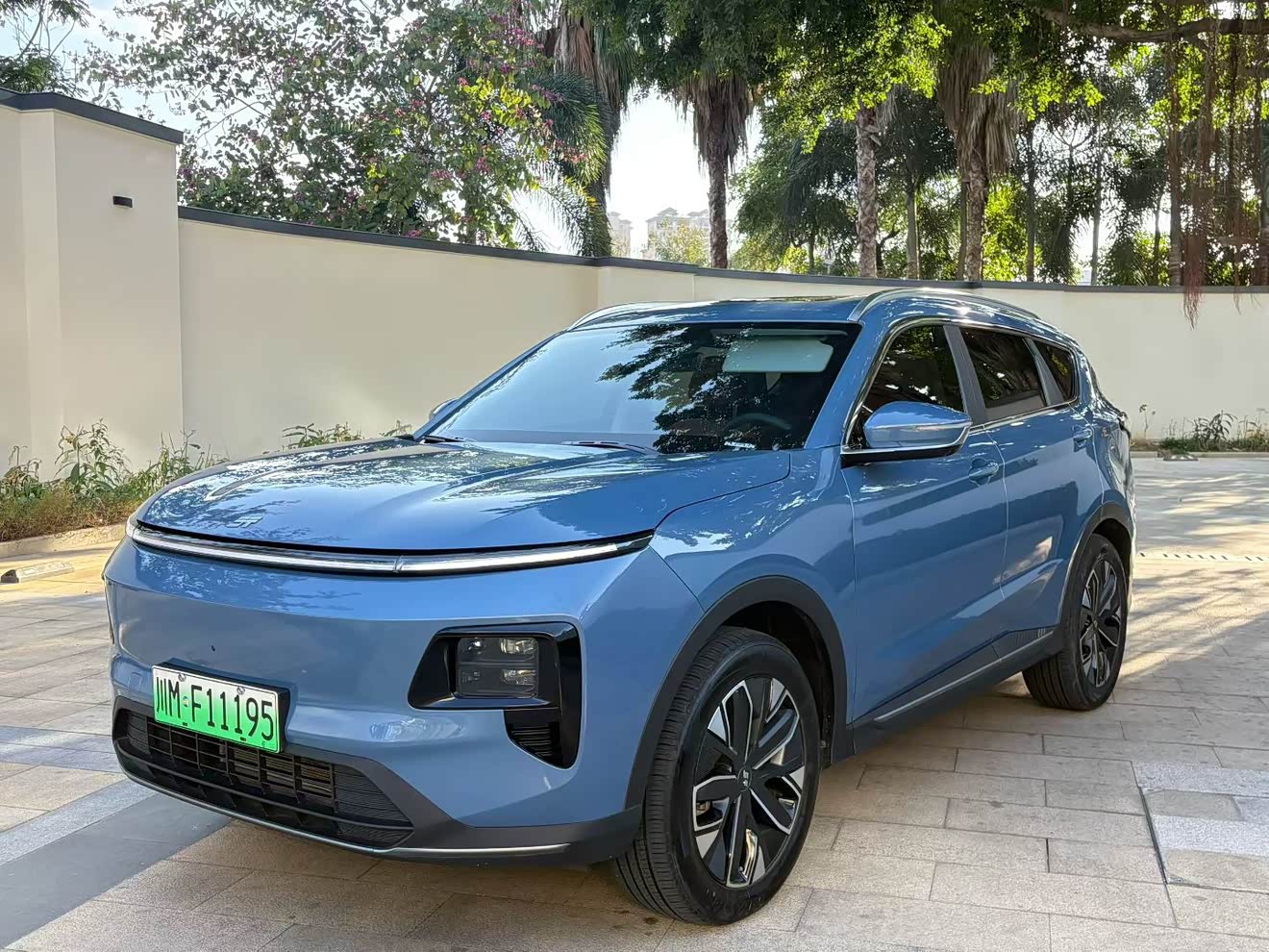 Jetour Shanhai L7 2024 汽车图片 