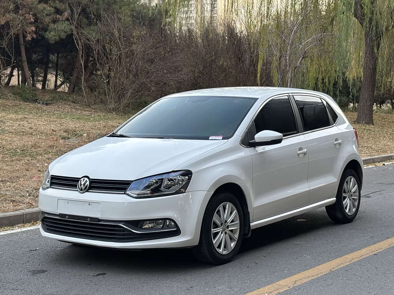 Volkswagen Polo 2016 immagine di auto 