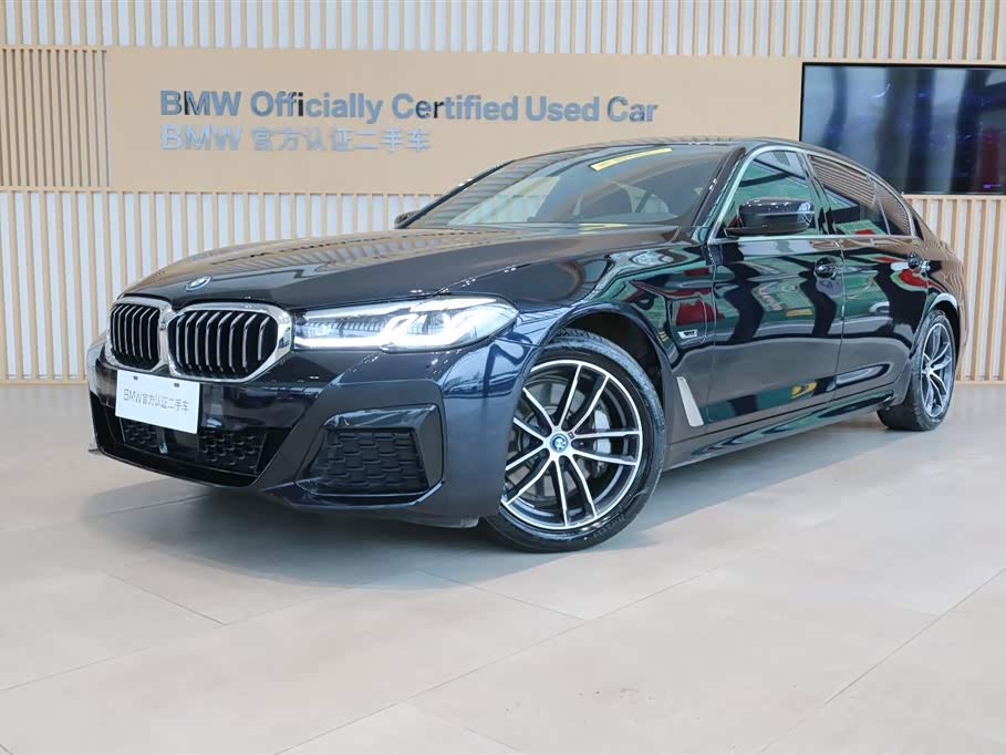BMW 5 Series New Energy 2024 car image 