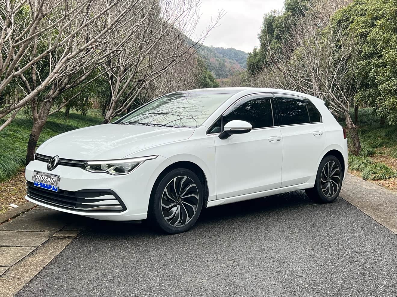 Volkswagen Golf 2024 car image 