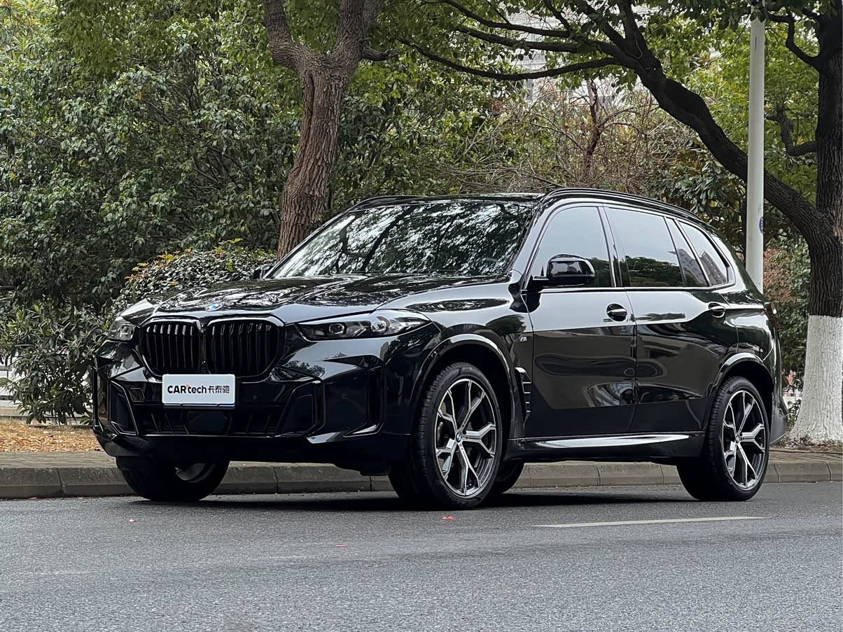 BMW X5 2025 car image 