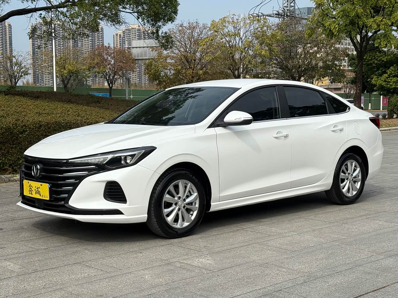 Changan Eado 2023 car image 