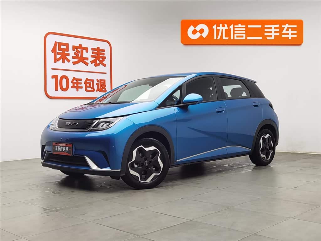 BYD Dolphin 2022 car image 
