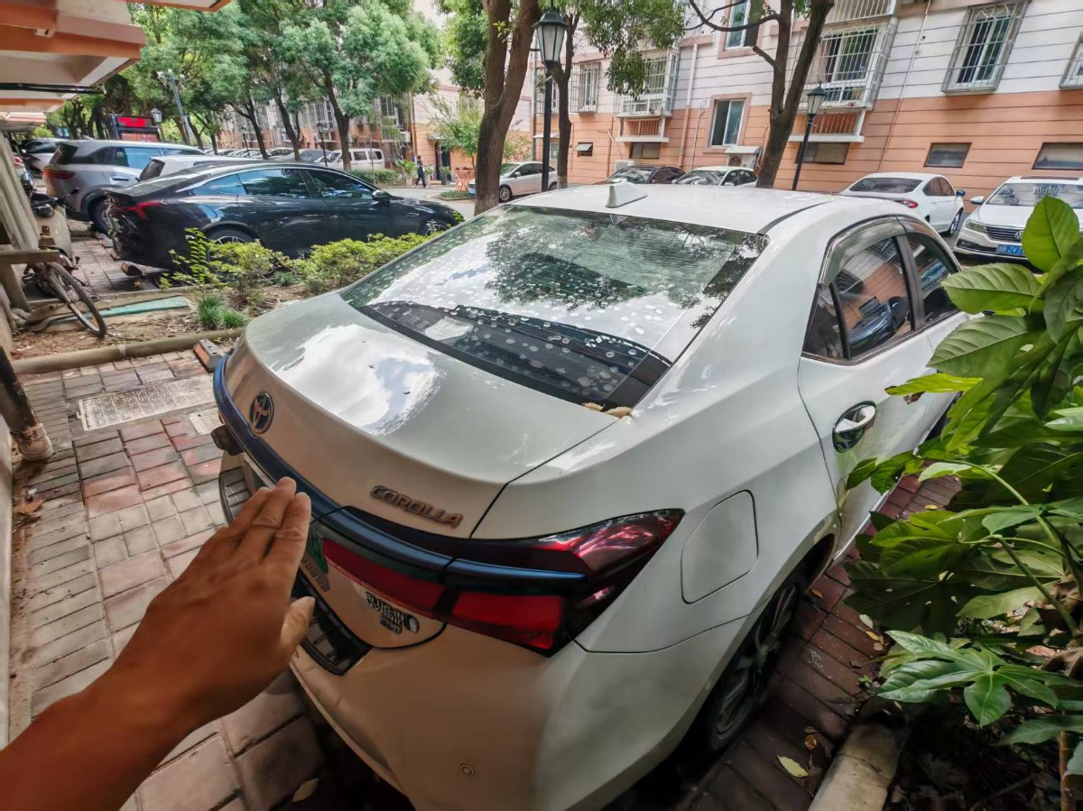 Toyota Corolla Hybird E+ 2019 car image #8