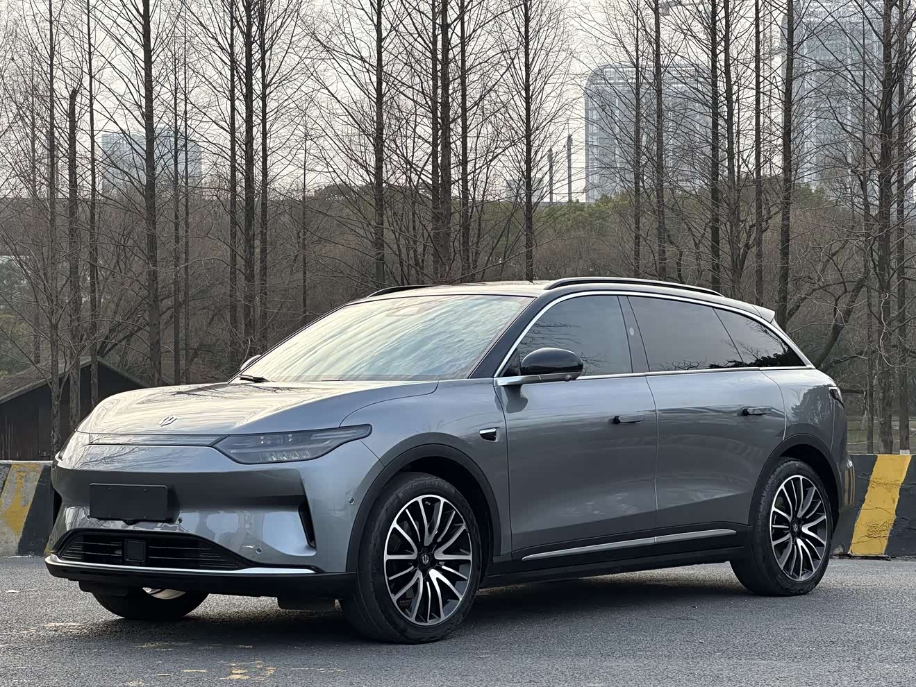 Leapmotor C11 2022 汽车图片 