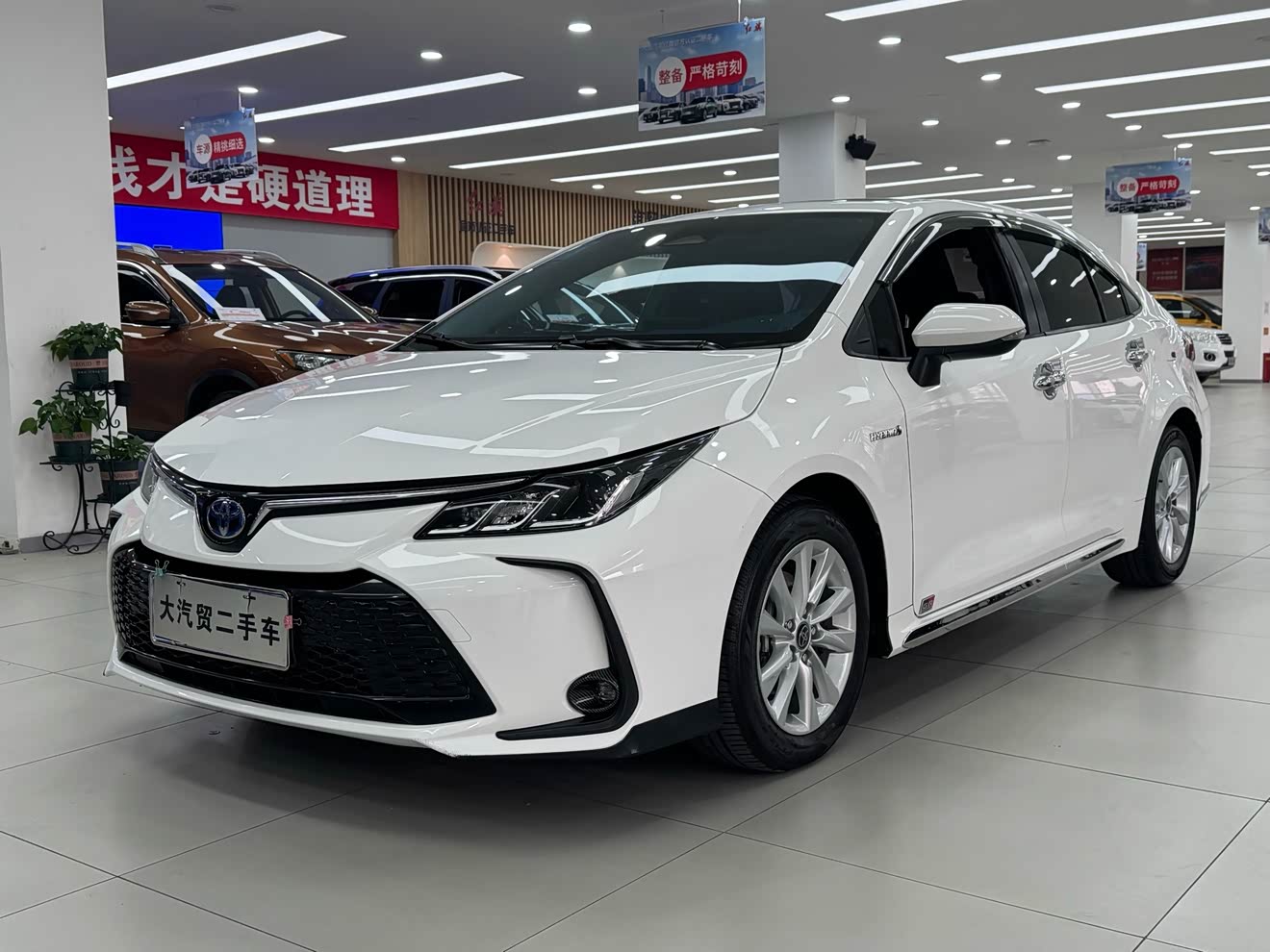 Toyota Corolla 2023 car image 