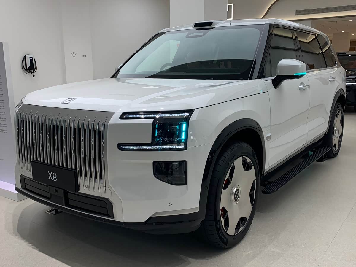 极氪 极氪9X 汽车图片 