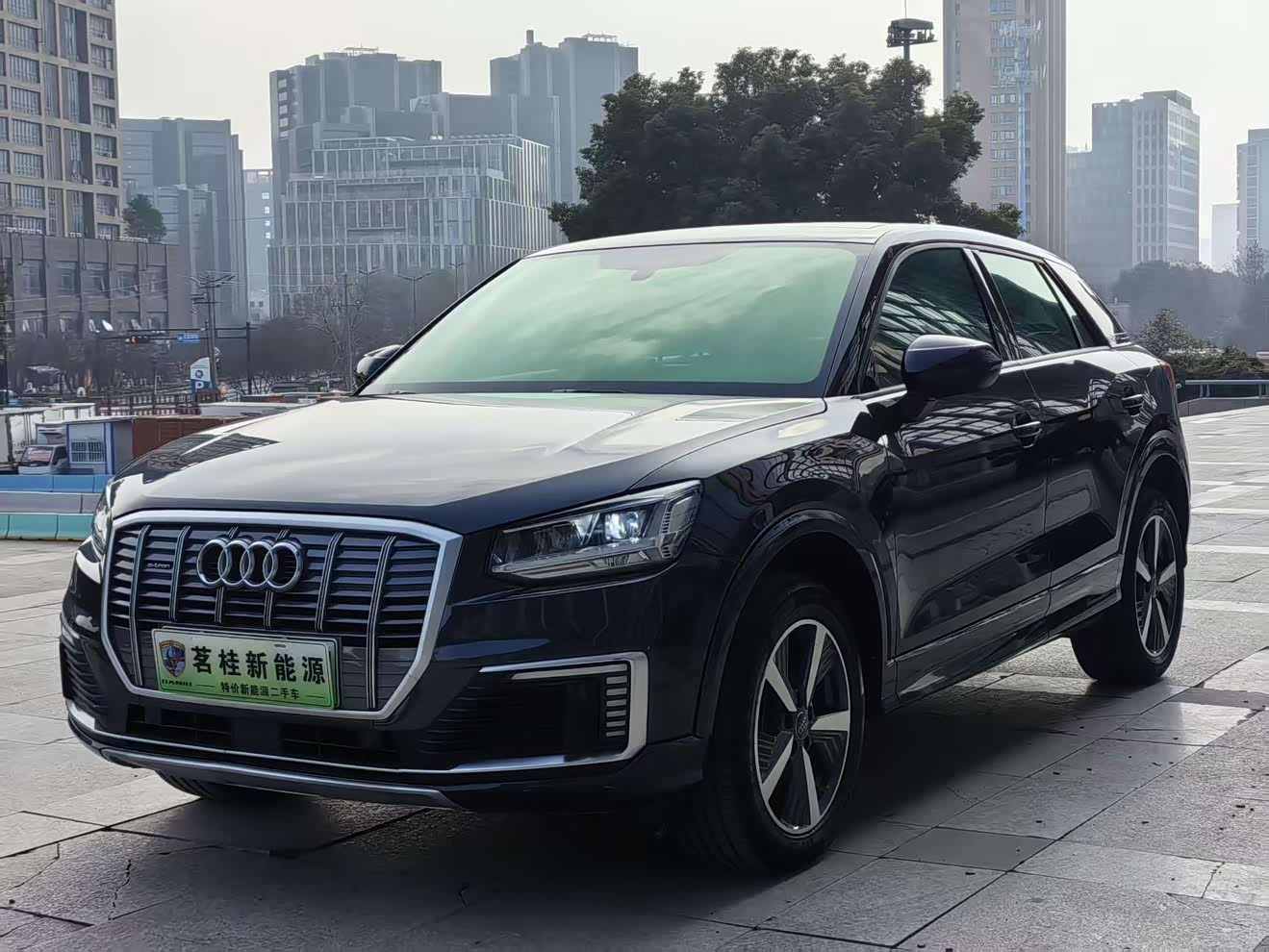 Audi Q2L e-tron 2021 汽车图片 