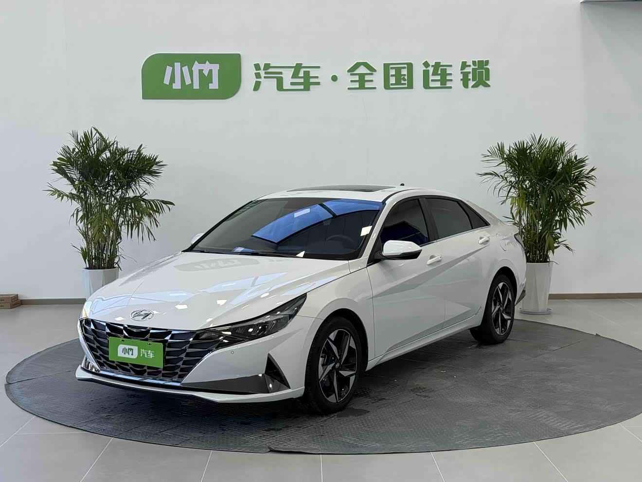 Hyundai Elantra 2023 изображение автомобиля 