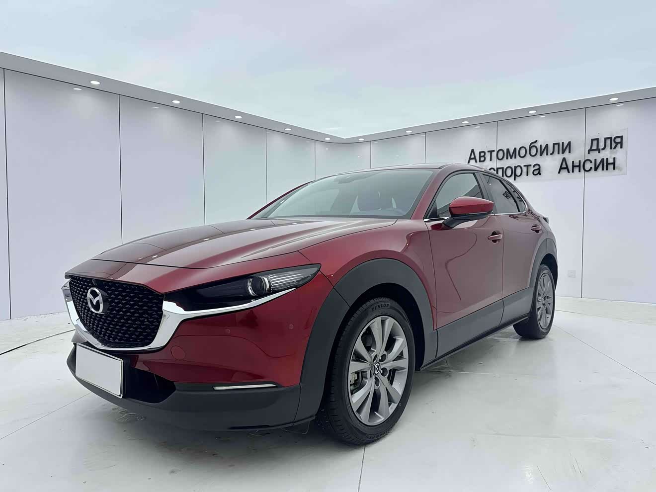 Mazda CX-30 2021 car image 