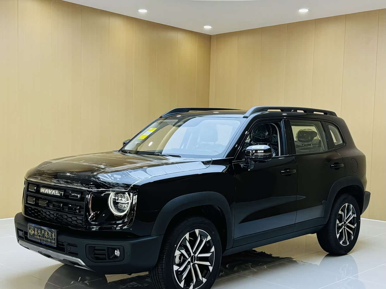 Haval X Dog / Dargo 2025 car image 