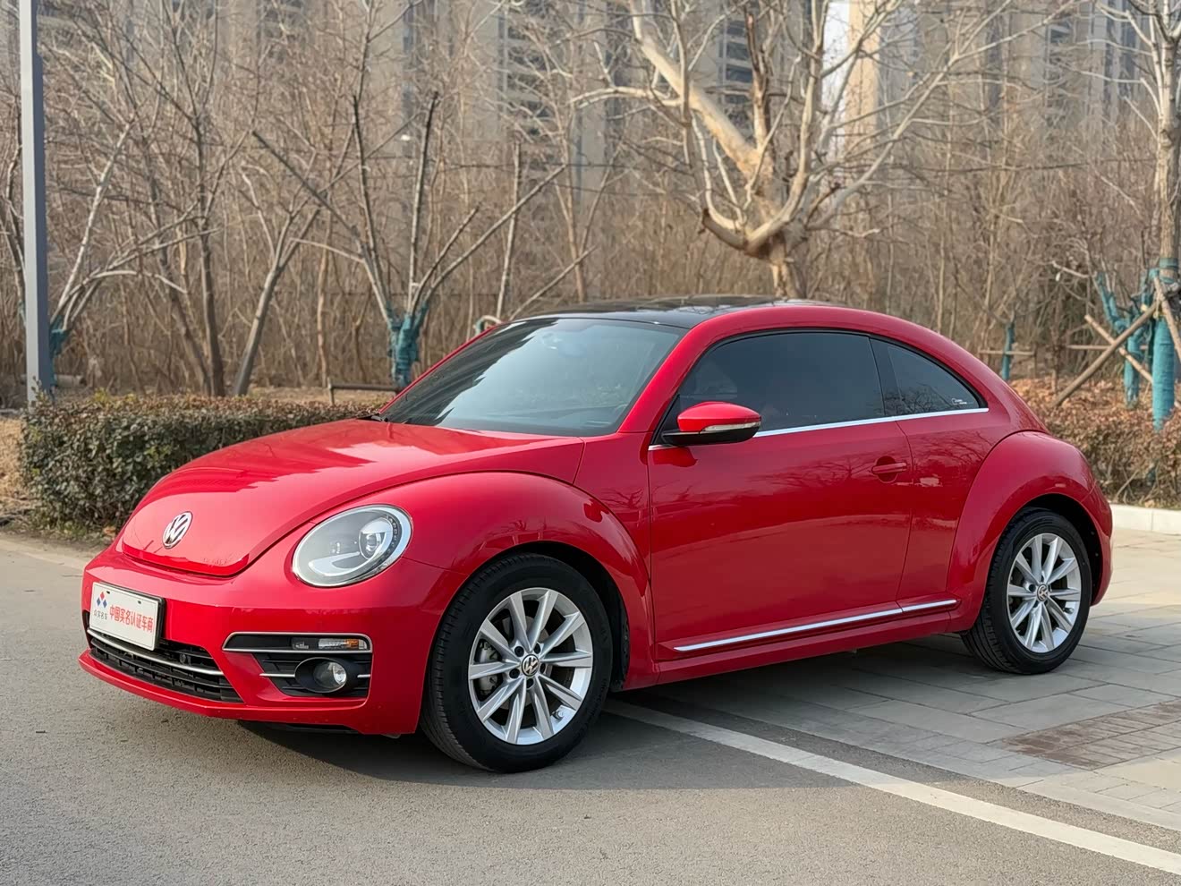 Volkswagen Beetle 2017 изображение автомобиля 