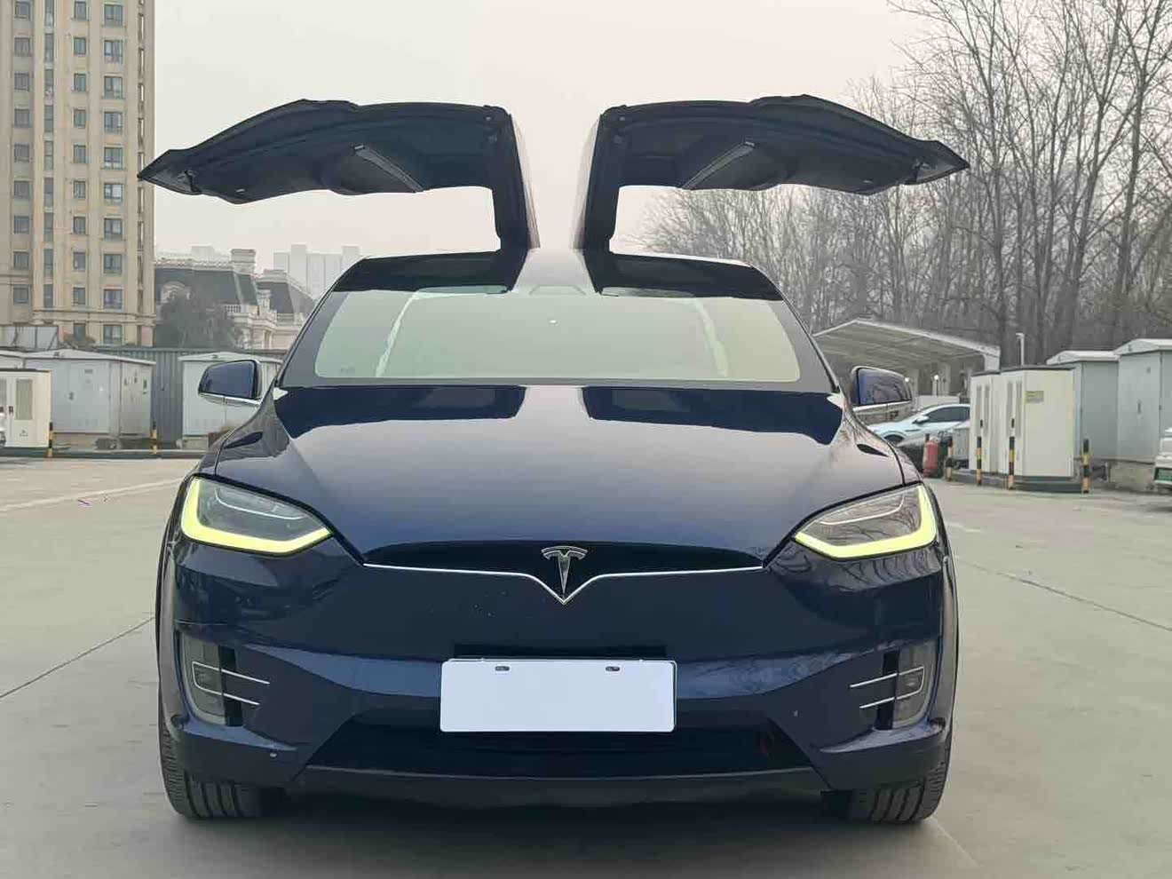 Tesla Model X 2017 汽车图片 