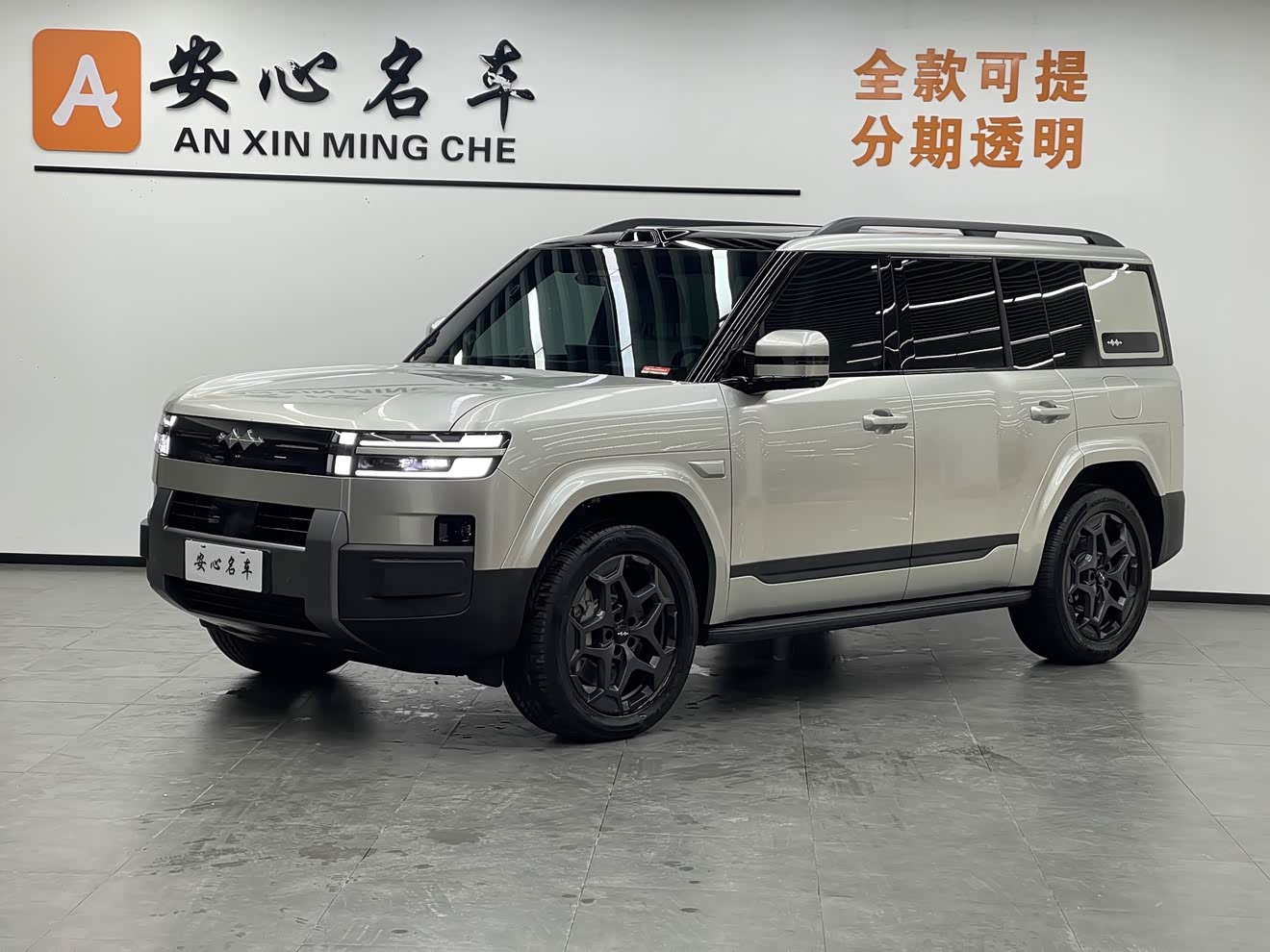 FangChengBao Tiger 7 2025 car image 