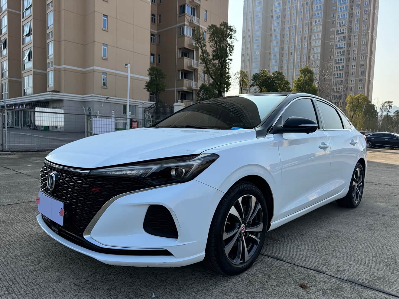 Changan Eado 2020 car image 