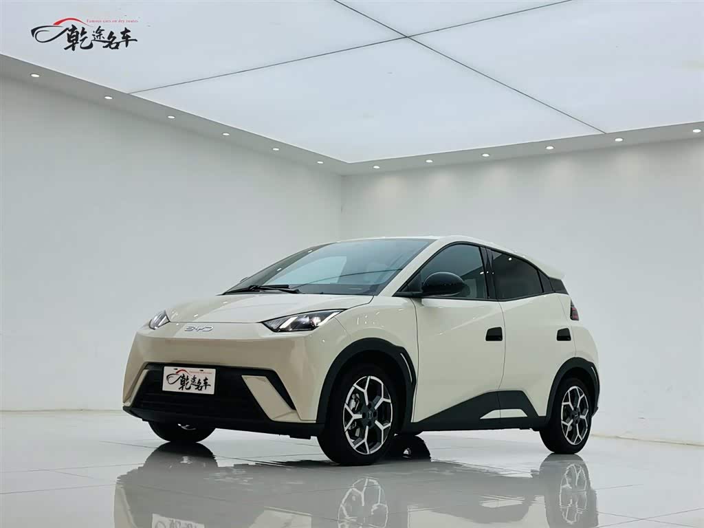 BYD Seagull 2024 car image 