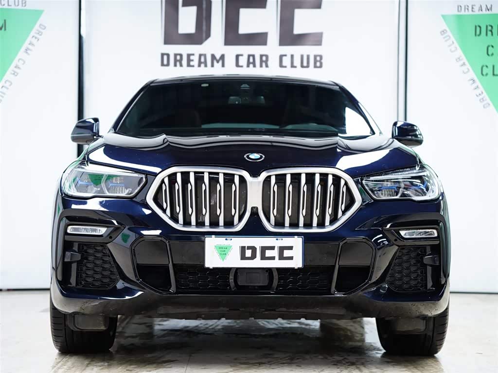 BMW X6 2021 car image 