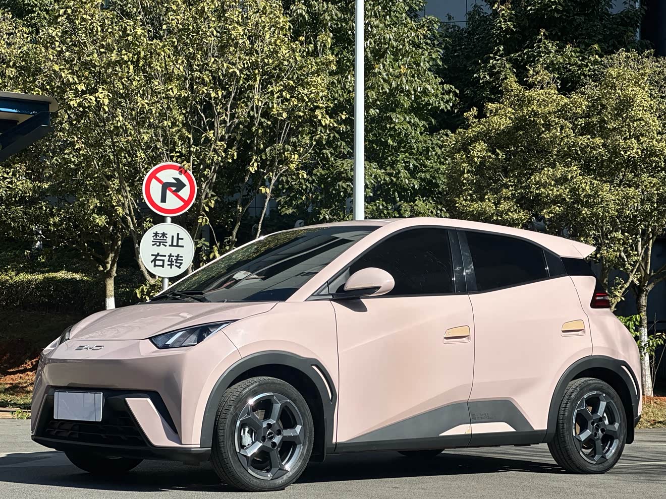 BYD Seagull 2023 car image 