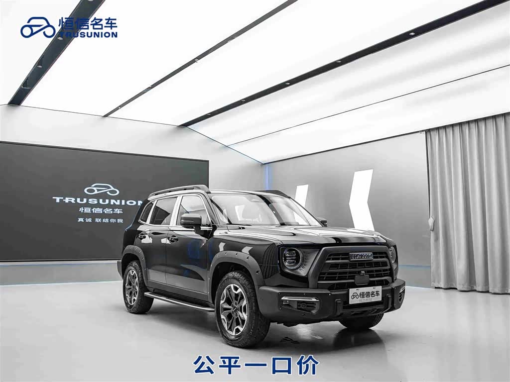 Haval X Dog / Dargo 2023 car image 