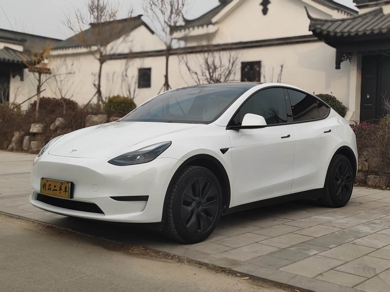 Tesla Model Y 2024 car image 