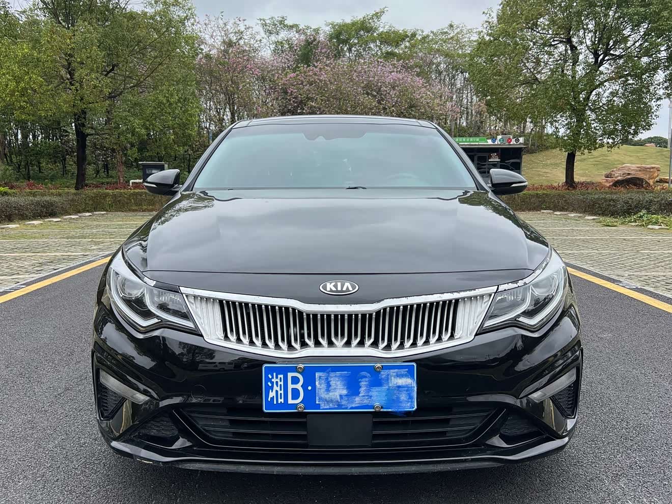 Kia K5 2020 汽车图片 
