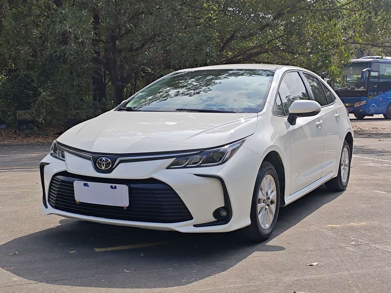 Toyota Corolla 2022 Toyota Corolla 2022 汽车图片