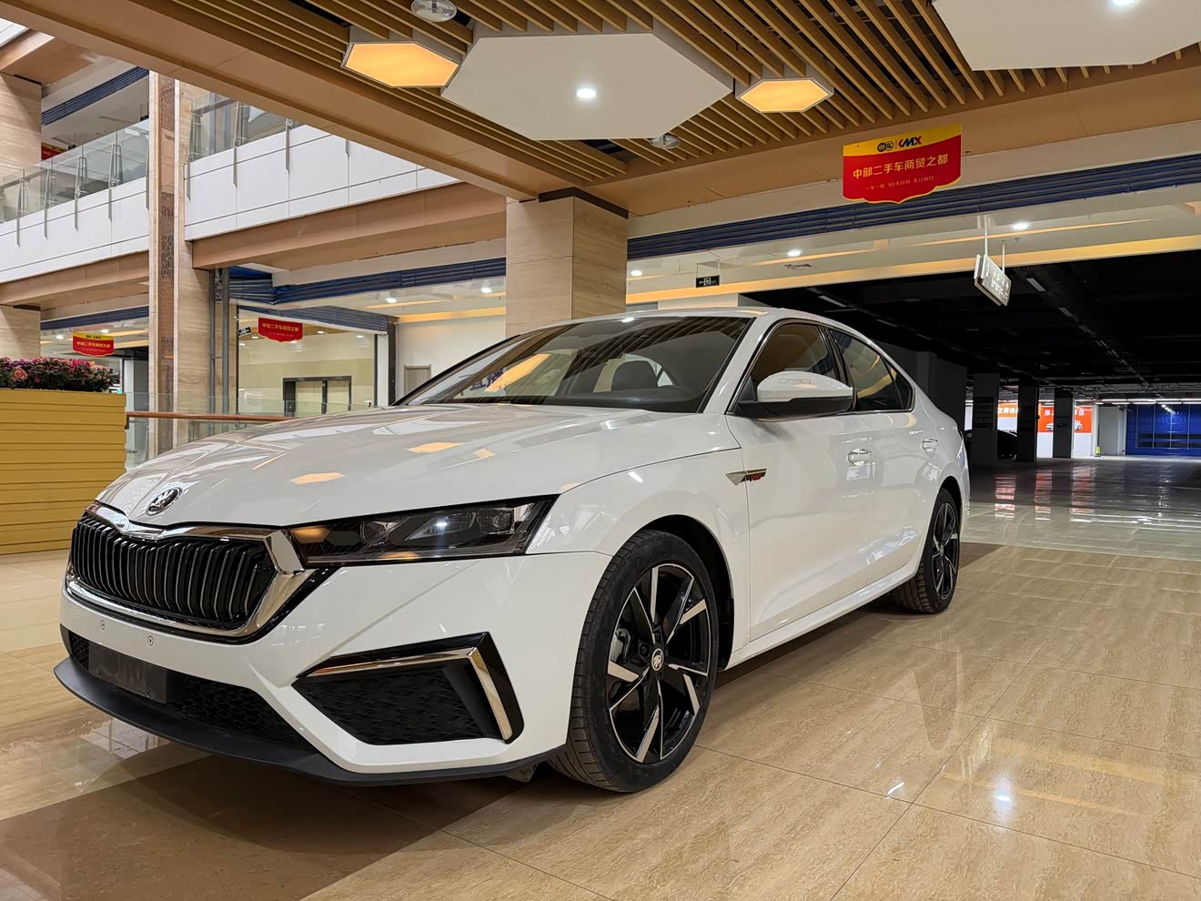 Skoda Octavia 2023 car image 