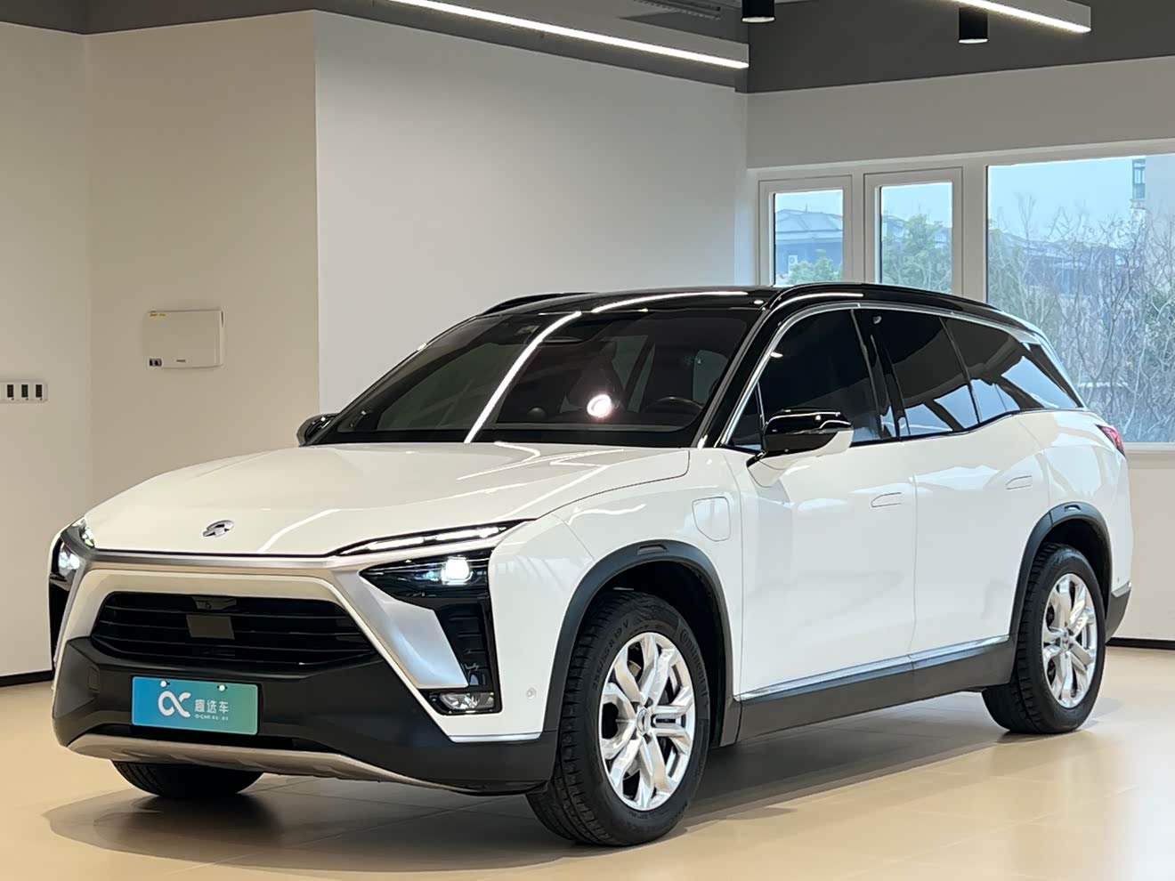 NIO ES8 2021 汽车图片 