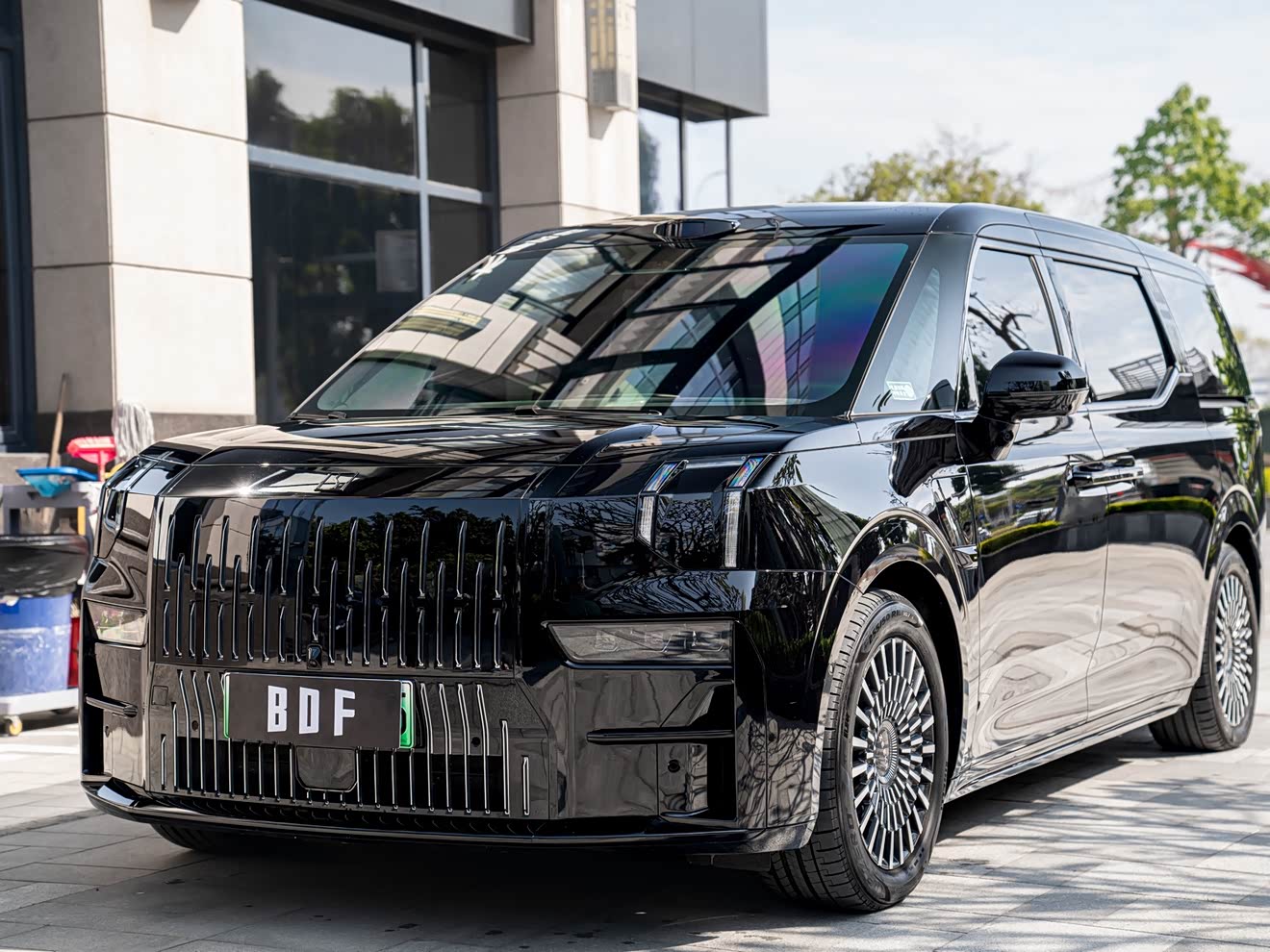 Zeekr 009 2024 汽车图片 