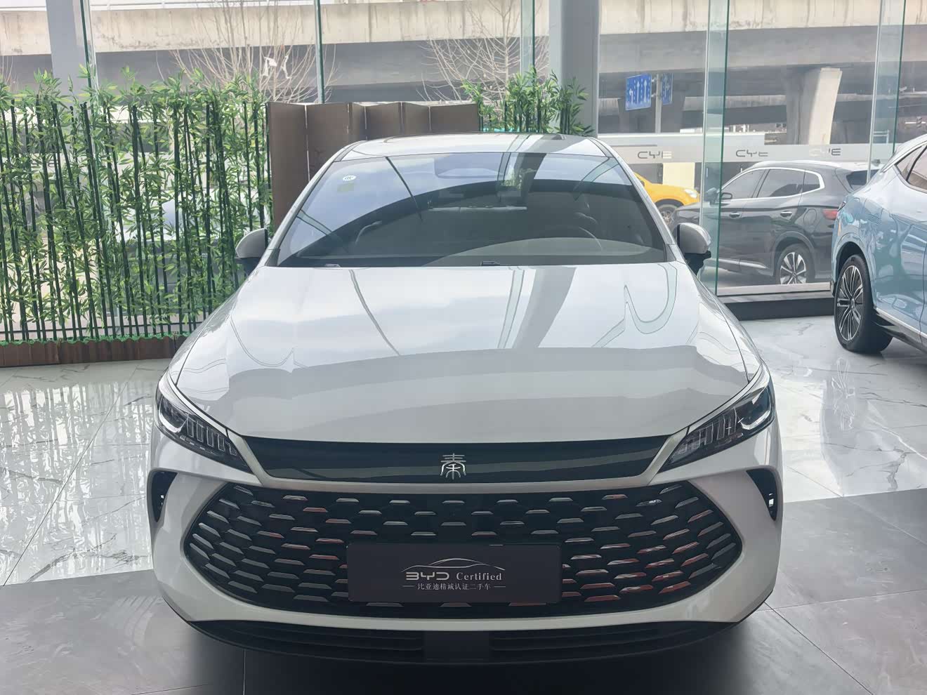 BYD Qin Plus 2025 car image 