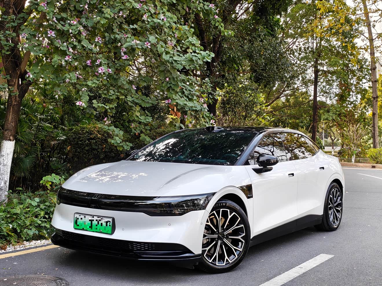 Zeekr 007 2024 汽车图片 