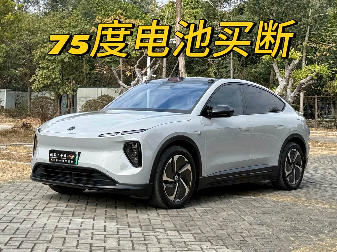 NIO EC6 2023 汽车图片 