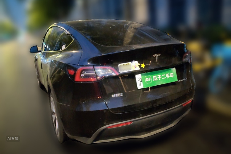 Tesla Model Y 2021 car image #5