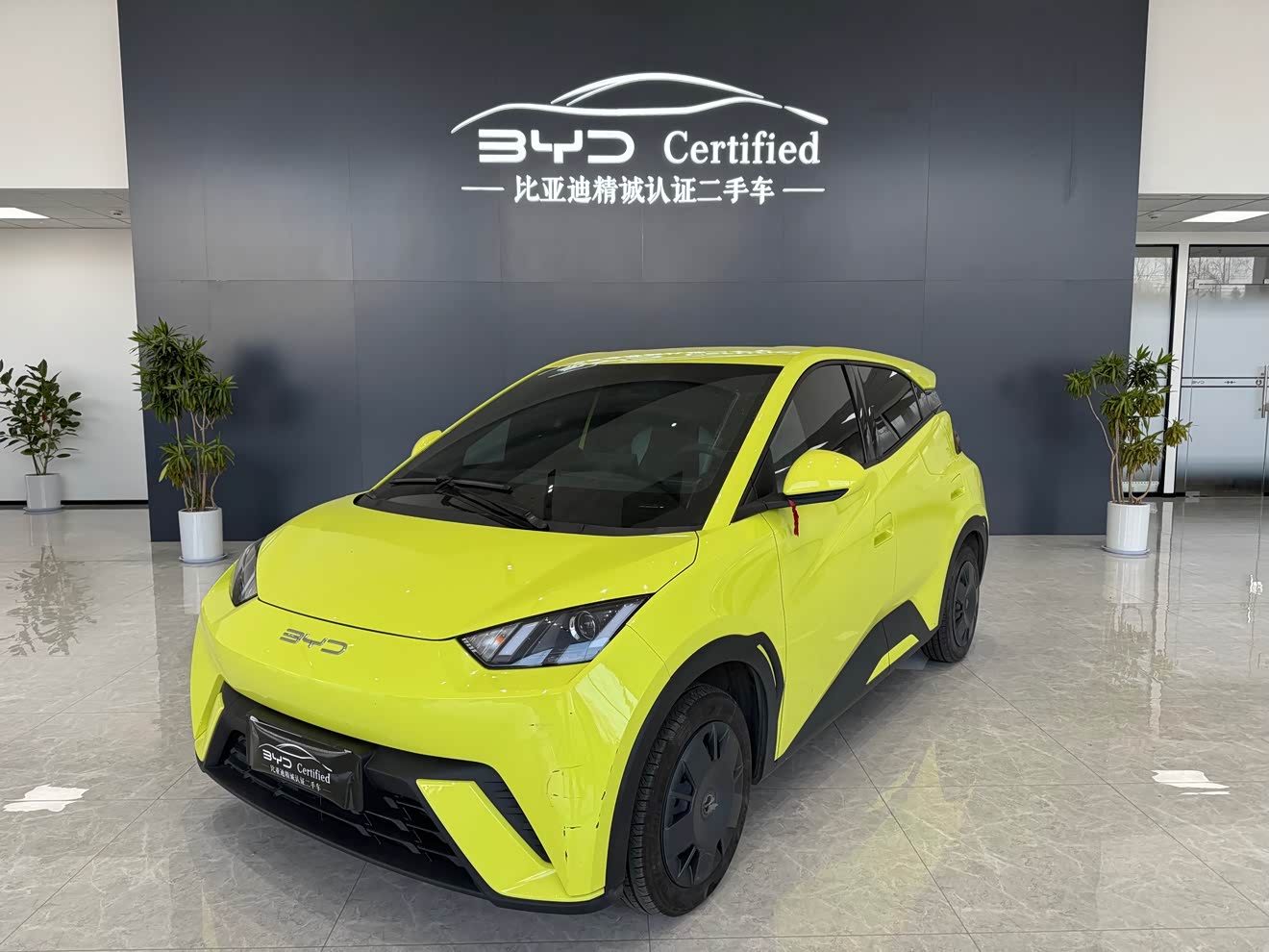 BYD Seagull 2023 car image 