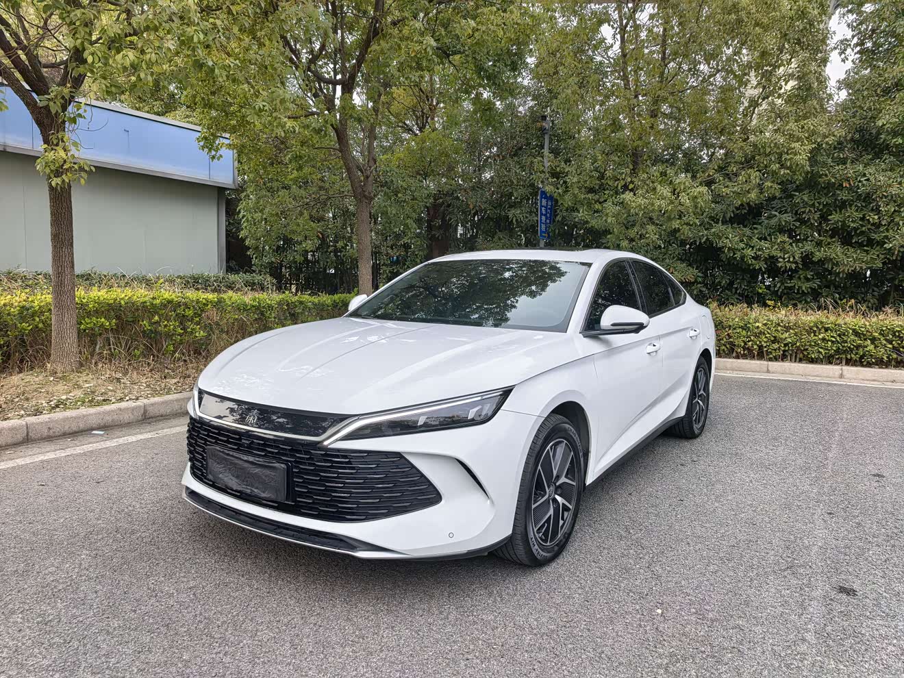 BYD Qin L 2025 immagine di auto 