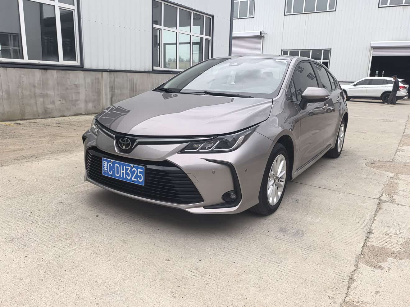 Toyota Corolla 2021 car image 