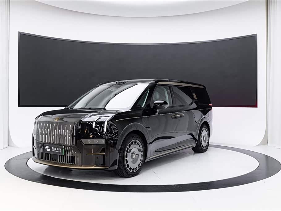 Zeekr 009 2025 汽车图片 