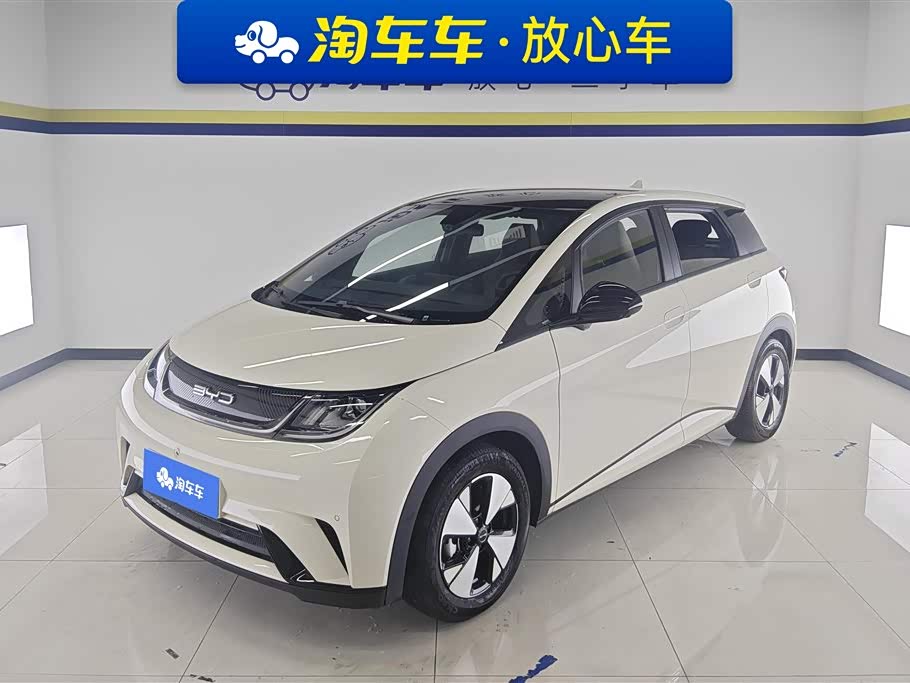 BYD Dolphin 2024 صورة سيارة 