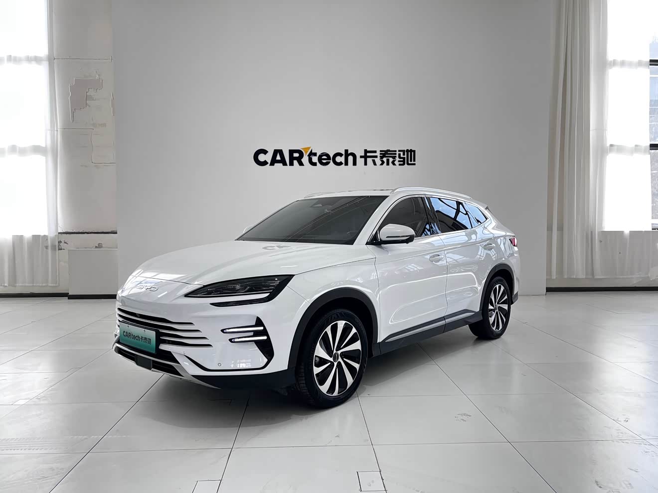 BYD Song Plus New Energy 2023 car image 
