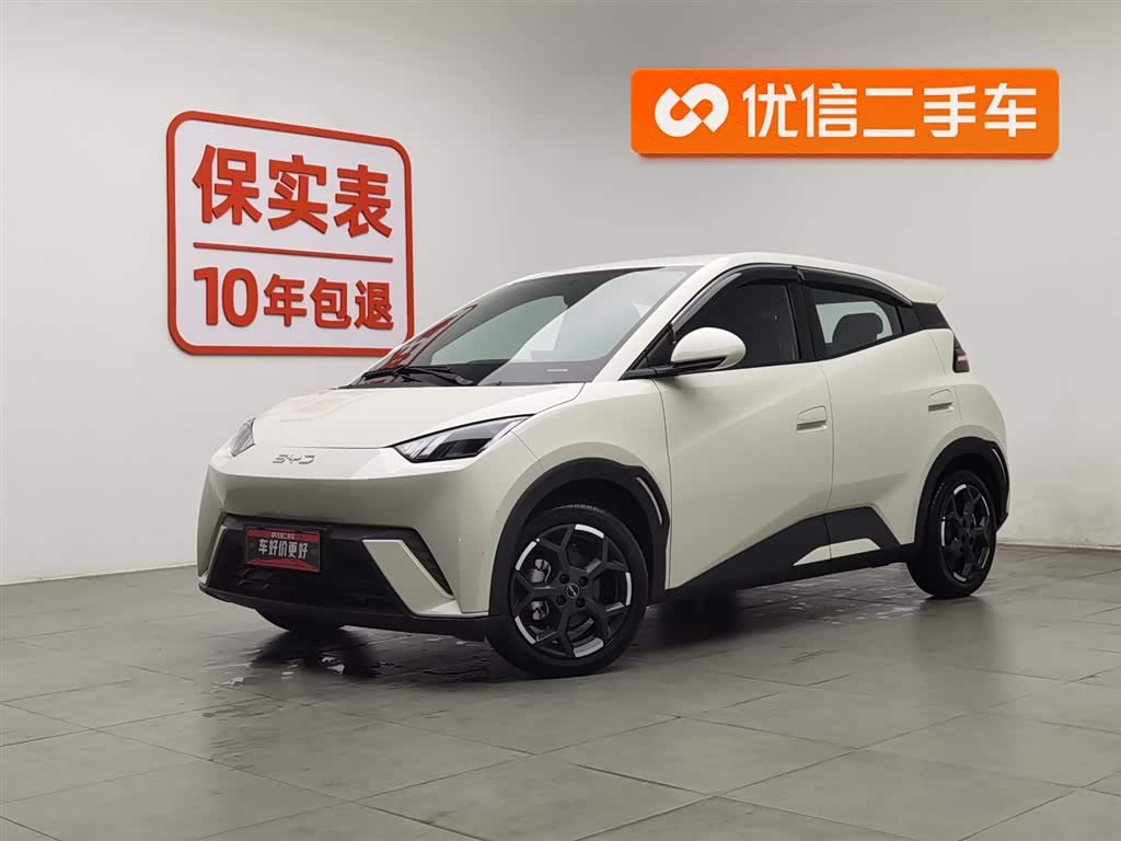 BYD Seagull 2025 car image 